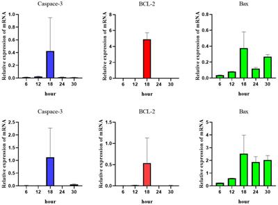 Mathematical modeling and application of IL-1β/TNF signaling pathway in regulating chondrocyte apoptosis